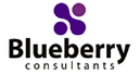 Bluebeerry Consultants